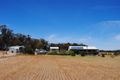 Property photo of 1296 Dunolly-Orville Road Murphys Creek VIC 3551