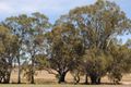 Property photo of 1296 Dunolly-Orville Road Murphys Creek VIC 3551