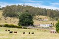 Property photo of 160 Coal Mine Road Kaoota TAS 7150