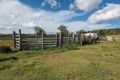 Property photo of 117 Cherbourg Road Charlestown QLD 4608