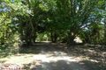 Property photo of 235B Witta Road Witta QLD 4552