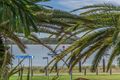 Property photo of 210/392-398 Marine Parade Labrador QLD 4215