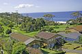 Property photo of 7 Buchan Street Mollymook NSW 2539