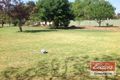 Property photo of 22 Como Road Greenacre NSW 2190
