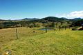 Property photo of 2627 Nowendoc Road Knorrit Flat NSW 2424