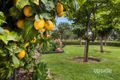 Property photo of 3 Laura Place Karabar NSW 2620