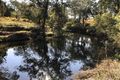 Property photo of 1838 Plain Station Road Mookima Wybra NSW 2469