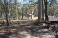 Property photo of 116 Prossers Road Nunamara TAS 7259