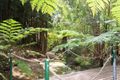 Property photo of 49 Kenthurst Road St Ives NSW 2075
