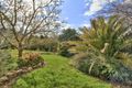 Property photo of 40 Connleys Road Omeo VIC 3898