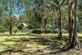 Property photo of 70 Aroona Court Forrest VIC 3236