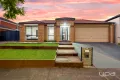 Property photo of 7 Narooma Avenue Burnside VIC 3023