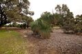 Property photo of 35 Falstaff Crescent Spearwood WA 6163