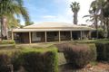 Property photo of 306 Puddletown Road Winkie SA 5343