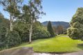 Property photo of 22 Clarke Avenue Warburton VIC 3799