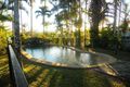 Property photo of 206 Euluma Creek Road Julatten QLD 4871