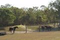 Property photo of 39 Fig Tree Terrace Meadowvale QLD 4670