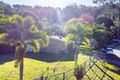 Property photo of 7 Glentrees Grove Currumbin Waters QLD 4223