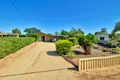 Property photo of 14 Nalara Avenue Loxton SA 5333