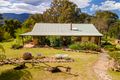 Property photo of 1495 Upper Brogo Road Brogo NSW 2550