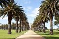 Property photo of 305/348 Beaconsfield Parade St Kilda West VIC 3182