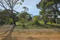 Property photo of 48 Sixth Avenue Kendenup WA 6323