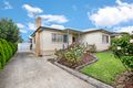 Property photo of 29 Sycamore Street Hamlyn Heights VIC 3215