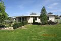 Property photo of 9 Orchard Avenue Keith SA 5267