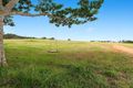 Property photo of 6 Blossom Close Diddillibah QLD 4559