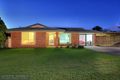 Property photo of 1 Robinson Court Berrinba QLD 4117
