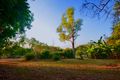 Property photo of 50 Thornbill Crescent Howard Springs NT 0835