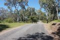 Property photo of 1838 Maraju-Yakapari Road Balnagowan QLD 4740