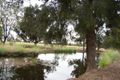Property photo of 6 Cressy Road Goondiwindi QLD 4390