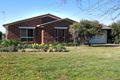 Property photo of 9 Patamba Street Kooringal NSW 2650