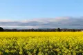 Property photo of 1676 Willala Road Willala NSW 2382