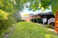 Property photo of 3 Florence Place Epping NSW 2121