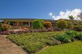 Property photo of 17 Valley Drive Alstonville NSW 2477