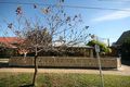 Property photo of 38 D'Erlanger Avenue Nailsworth SA 5083