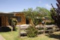 Property photo of 4 Pine Street Kootingal NSW 2352