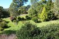 Property photo of 5 Tibouchina Close Bellingen NSW 2454