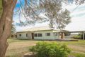 Property photo of 243 Buloke Street Red Cliffs VIC 3496