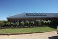 Property photo of 482 Thiele Road Loveday SA 5345