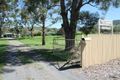 Property photo of 247 Mount McKenzie Road Tenterfield NSW 2372