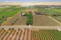Property photo of 458 Chowilla Street Renmark West SA 5341