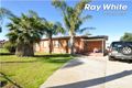 Property photo of 20 Wilkins Road Elizabeth Downs SA 5113