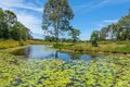 Property photo of 154 Western Creek Road Imbil QLD 4570