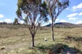 Property photo of 72 Tarban Road Tarban NSW 2372