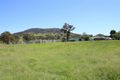 Property photo of 247 Mount McKenzie Road Tenterfield NSW 2372