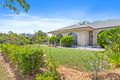 Property photo of 7 Lightwood Place Narangba QLD 4504
