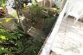 Property photo of 6/23-33 Cambridge Street Box Hill VIC 3128
